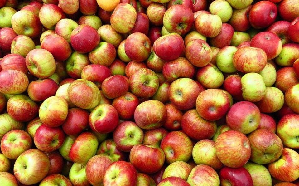 dieta jabłkowa na odchudzanie